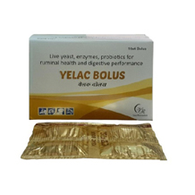  Pharma franchise company in chandigarh - Vee Remedies -	Veterinary Bolus YELAC.jpg	